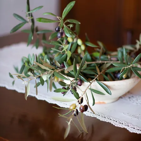 Trulli Magravi - Bed and Breakfast 2*